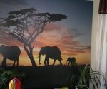 фотопечать на натяжной стене слоны