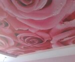 фотопечать на натяжном потолке розы