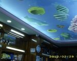 натяжной потолок фотопечать рыбы под водой