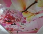 натяжной потолок фотопечать орхидеи