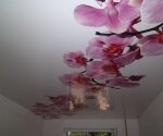 фотопечать на натяжном потолке орхидея