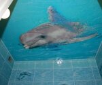 фотопечать на натяжном потолке дельфин