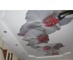 фотопечать на натяжном потолке орхидеи